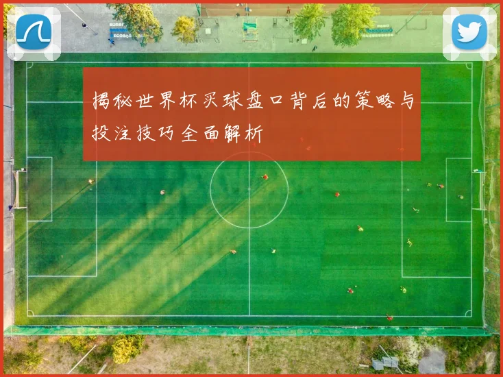 揭秘世界杯买球盘口背后的策略与投注技巧全面解析